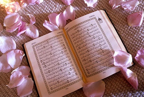 Gambar Al  Quran  Dan Bunga  Mawar  Gambar Ngetrend dan VIRAL
