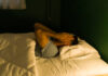 seorang sedang tidur