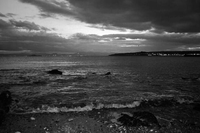 Laut